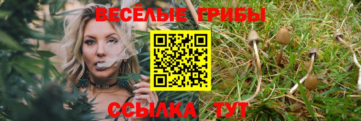 Галлюциногенные грибы GOLDEN TEACHER  Вход с VPN  Барабинск  Галлюциногенные грибы Psilocybe 