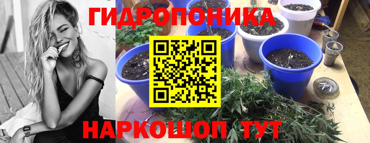 Канабис индика  Каннабис планчик  Каннабис семена  Вход с VPN  Барабинск 
